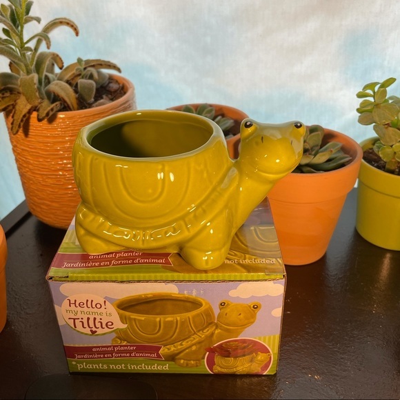 Tilly Turtle Ceramic Succulent Flower Planter - Picture 4 of 7